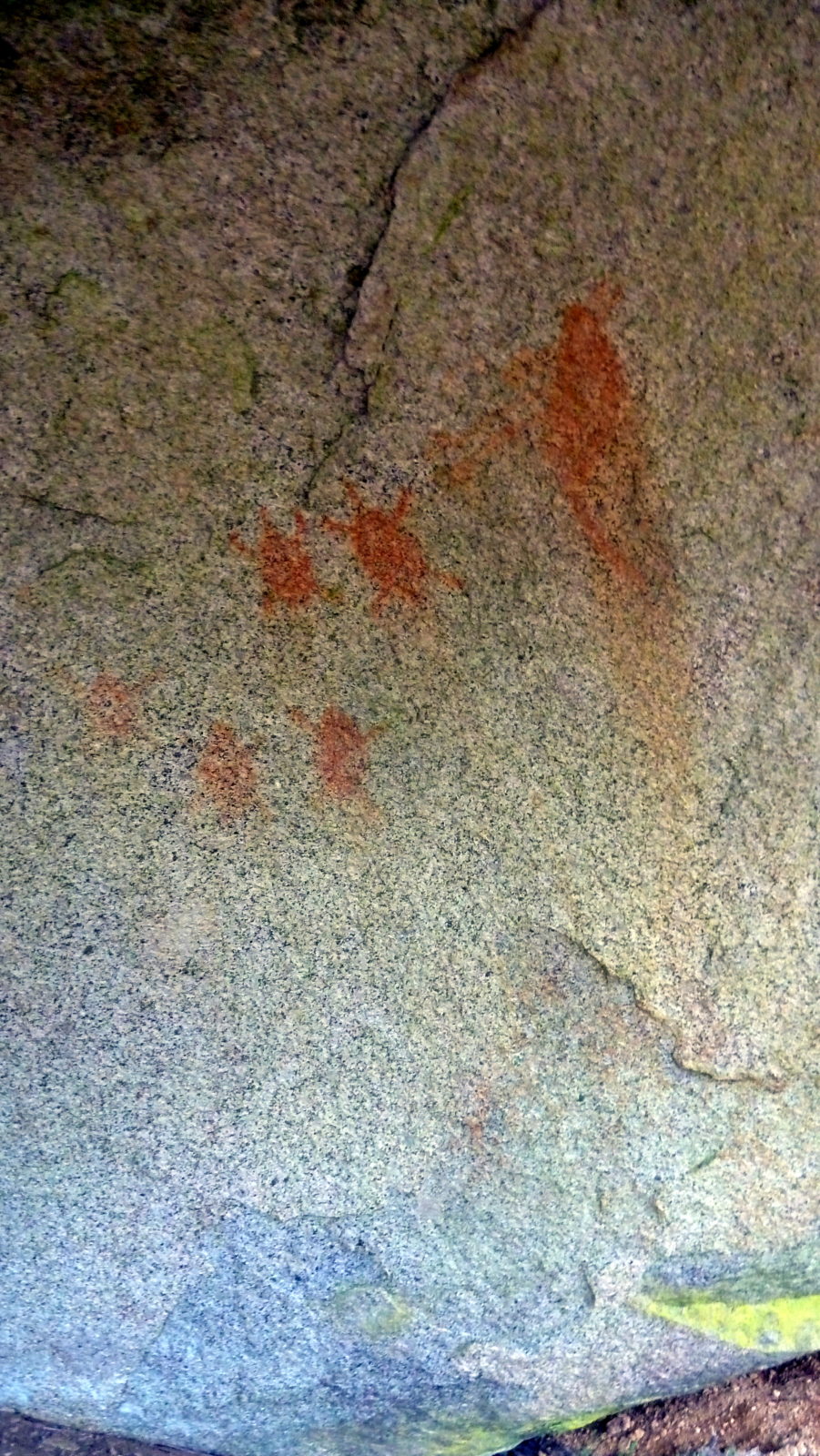 Aboriginal Paintings