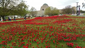 2018 10 12 Visit to War Memorial – Exhibitions and Honour Their Spirit Poppy Display