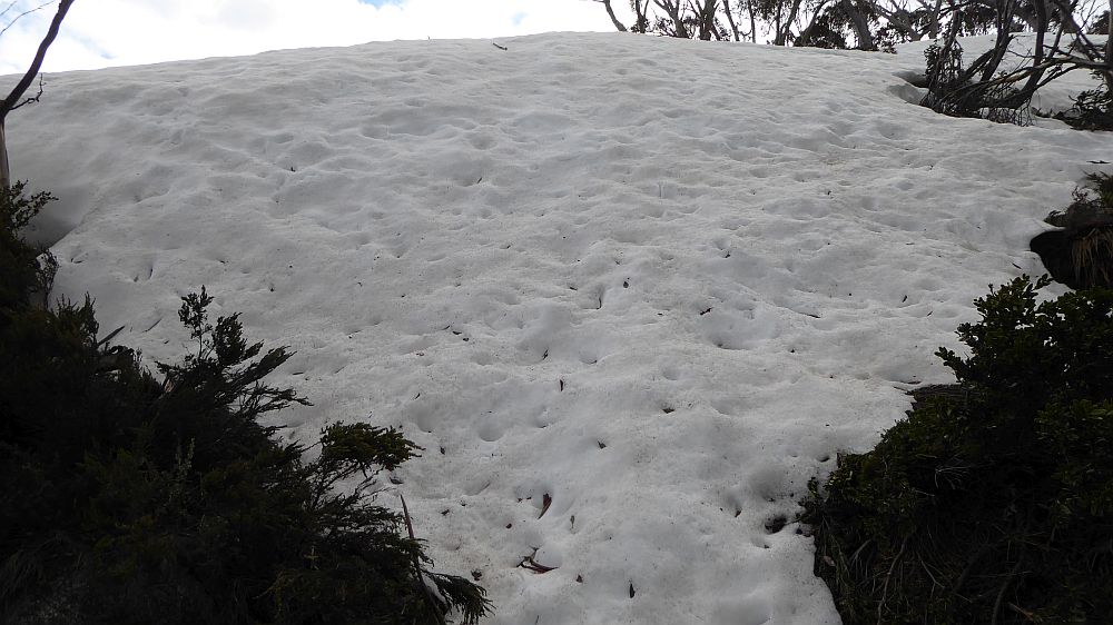 Kosciuszko National Park – Gungarlin Kidmans Hut Great Divide – Jagungal Area 15-18 Oct 2022